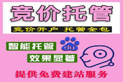 谷歌SEM实战案例：利用广告系列优化效果